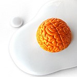 Global Warming Brains | Emilio Garcia